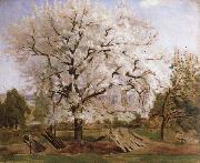 Carl Fredrik Hill apple tree in blossom oil painting